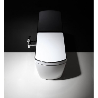 CE Approved Elongated Paperless Warm Water Electric WaterMark Toilet